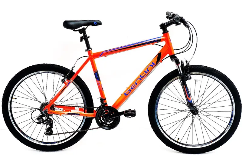 Raleigh scorpion mountain bike online